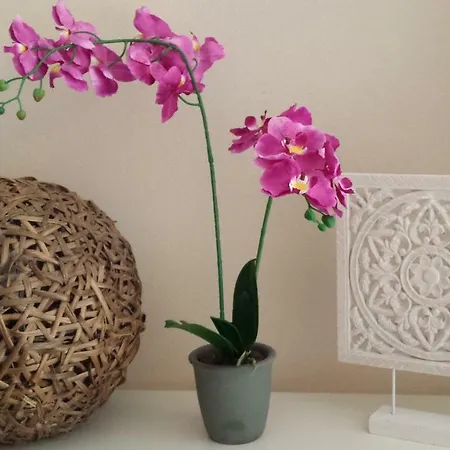 Apartamento Trajano/alameda Apartment Seville